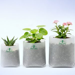 Biodegradable Grow Bags