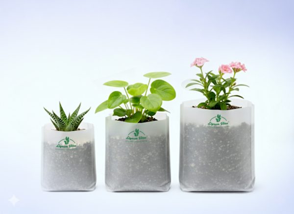 Biodegradable Grow Bags