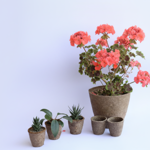 Biopots
