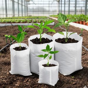 grow bag
